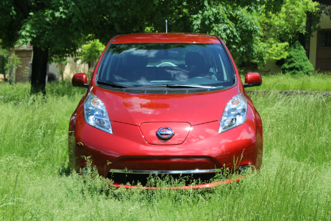 2013_Leaf_grass_frontview