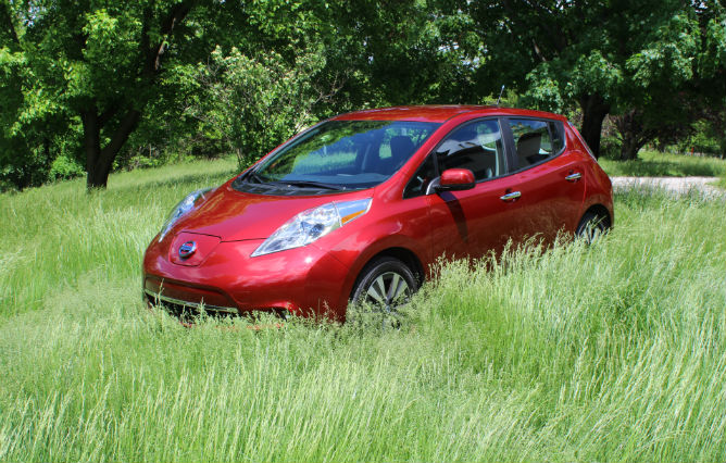 2013_Leaf_in_grass